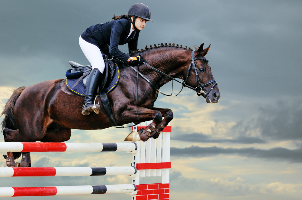 Stretching for the Equestrian Community